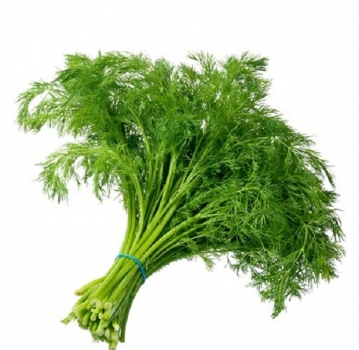 Dill Bund